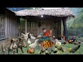 Download Lagu survival in the wild, completed the pen for wild boars, hunting big fish in the stream, survival