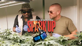 Collie Buddz X Busy Signal Spark Up Official Music Video 