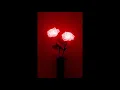 Leslie & Amine - Sobri  (notre destin) (Slowed + Reverb)