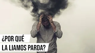 #217 En busca de la sabiduría (II): 28 razones por las que la liamos parda — primera parte