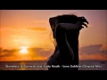 ♫ Stoneface & Terminal feat. Katty Heath - Love Sublime (Original Mix) ♫