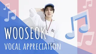 Download Wooseok Vocal Appreciation! MP3