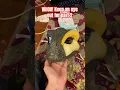 Making my first Dino mask