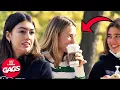 Download Lagu Best Of College Campus Pranks | Just For Laughs Gags