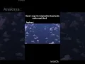 Download Lagu Disini di batas kota ini #memes
