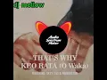 PLG Chanty - That's Why Keo Rata (O Waka)(feat. TbrfragesRSA)(Visualizer)