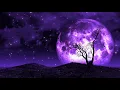 Healing Sleep Music 528Hz | Deepest Sleep Music | Positive Energy Cleanse | Meditative Music Healing