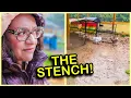 Quick EASY Fixes for your MUDDY Chicken Run NEW Ideas