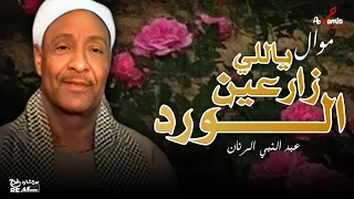 موال ياللي زارعين الورد قوم أسألوا عني   من روائع عبد النبي الرنان دندنها