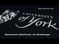 Assessment Submission via Gradescope Variable
