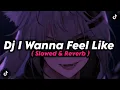 Lagu Dj I Wanna Feel Like ( Slowed \u0026 Reverb )