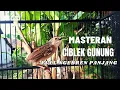 MASTERAN HANDAL CIBLEK GUNUNG FULL NEMBAK NGEBREN