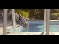 Video di MANDIBULES de Quentin Dupieux / TEASER 2 DÉCEMBRE