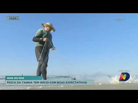 Pesca da tainha inicia com boas expectativas em Santa Catarina