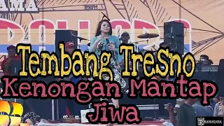 Download Tembang Tresno - Ayu Arsita - New pallapa Palang Tuban MP3