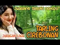 Download Lagu PASTI BASSNYA EMPUK ADEM | JUARANYA TARLING DANGDUT ENAK DIDENGAR BANYAK DI CARI, TARLING CIREBONAN