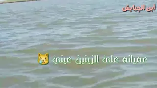 عميانه على الزينين عيني  أهوار الچبايش  دندنها