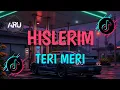 Download Lagu DJ HISLERIM X TERI MERI VIRAL TIKTOK FULL BASS 2025