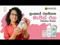 Effortlessly Clean Skin Garnier Micellar Cleansing Water All-in-One Cleanser