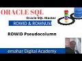 ROWID Pseudo column Oracle SQL