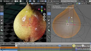Newton s Apple 4D HKRP of Surface Manifold