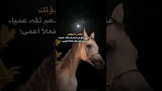 تصاميم عبارات بدون حقوق تصميمي بدون امر عليك خلي لايك واشتراك وفعل جرس الاشعارات 