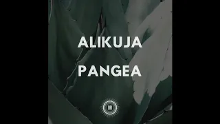 alikuja the scientist yaaquub original mix 