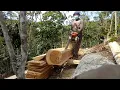 penggergajian kayu, cara membuat papan menggunakan chainsaw stihl 070