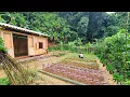 Download Lagu living alone in the mountains: build an organic farm and garden. grow more vegetables.