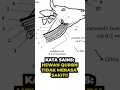 Download Lagu SAINS DI BALIK QURBAN