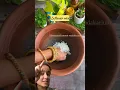 Download Lagu Healthiest breakfast recipe😍 Rice kanji✅🔥🔥 #shorts #kanji