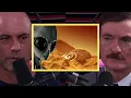 The Night I Was Struck by an Alien Craft Joe Rogan Travis Walton