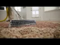 Stanley Steemer - Schedule a Deep Clean Today