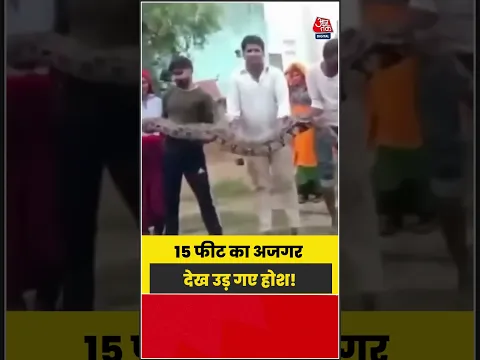 अचानक सामने आया विशालकाय अजगर, लंबाई देखकर लोग हैरान | #Python #SnakeRescue #Wildlife #ViralVideo