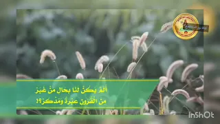 امس مضى واليوم ذا سيرحل وذاك يوم قد اتانا يقبل       دندنها
