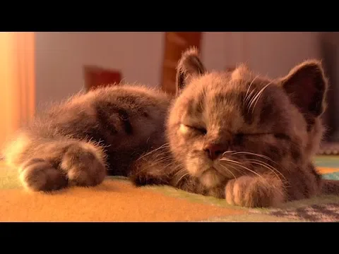 Little Kitten & Friends - Learn with the cutest cat! (Fox and Sheep GmbH) Part 9 - Best App For Kids