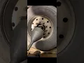 Stemco Hub Cap Replacement