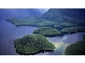 Nat Geo Wild The Great Bear Rainforest Nature Documentary