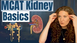 MCAT Biology Kidney Essentials