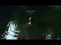 Anna Graves - Burn On (Official Audio)