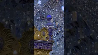 محمد باقر الخاقاني سر دمعتي ستوريات 