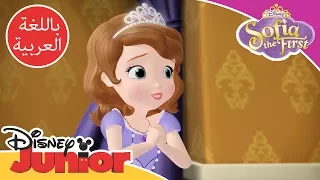 صوفيا الأولى الفراشة آمبر 