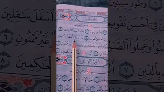 سورة التين والزيتون 