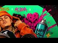 Baby Doll - Aaron Modesto, Mc Fidelis, Dena e Du'L, Prod Pedro Lotto