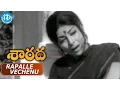 Download Lagu Sarada Movie Songs - Rapalle Vechenu Video Song || Sarada, Shobhan Babu || Chakravarthy