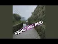 DJ KRONCONG PERI REMIX