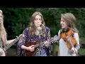 Dreams - The Petersens (LIVE)