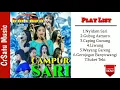 Download Lagu Koleksi Full Album Tembang Campur Sari versi New PALLAPA