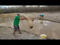 Download Lagu PESCARIA COM A VÓ DELOUSA E GUARANÁ