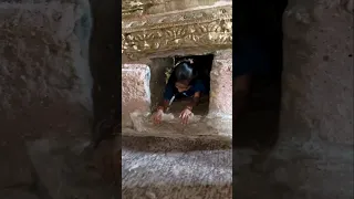     اطالع از شما                                                          دندنها